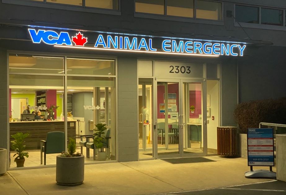 VCA Canada Vancouver Animal Emergency and Referral Centre Company Image